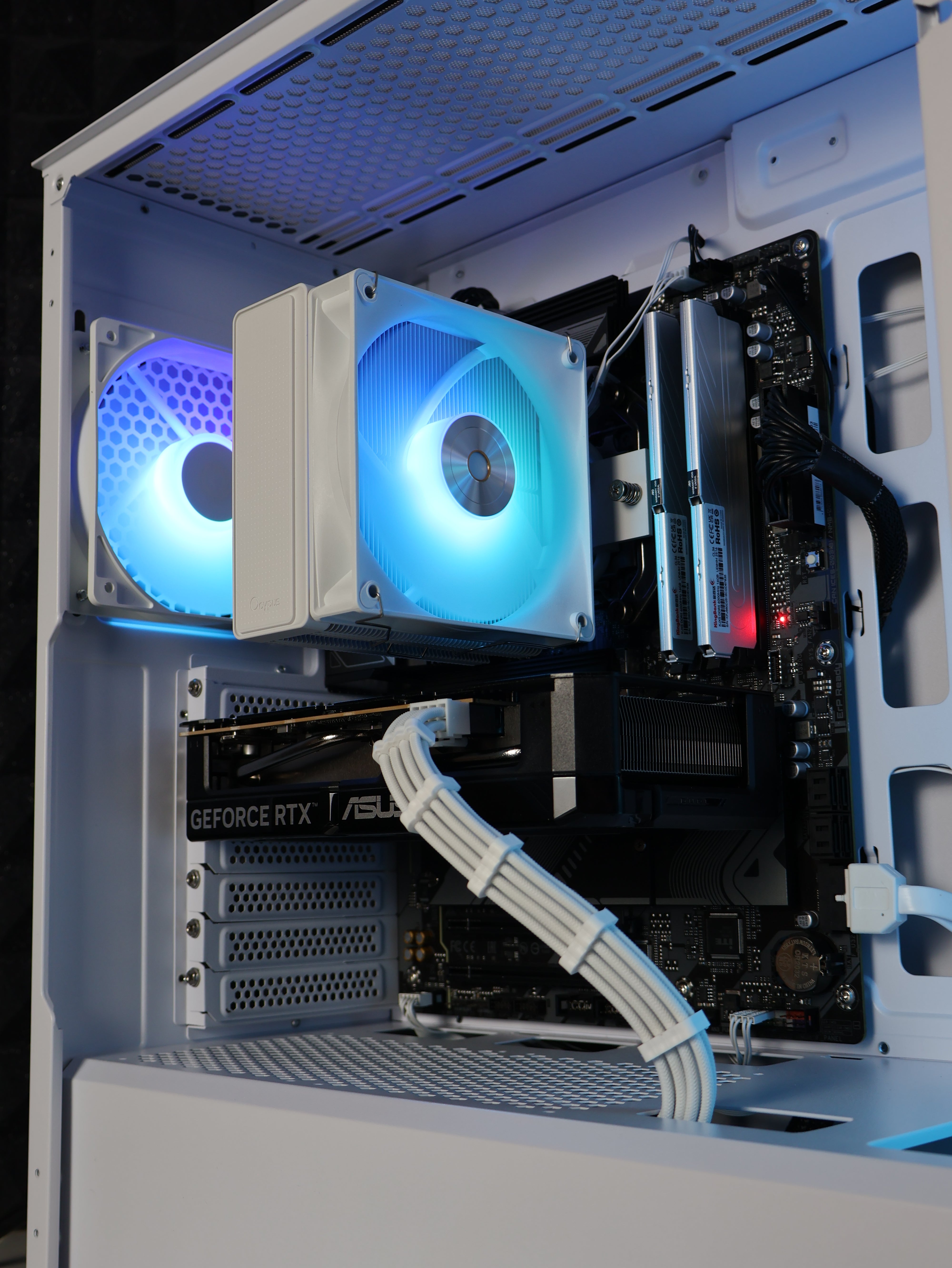 Trip | Ryzen 5 9600X/RTX 5060 8GB Gaming PC